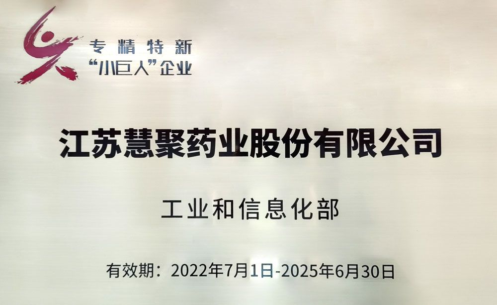 2022国家专精特新小巨人