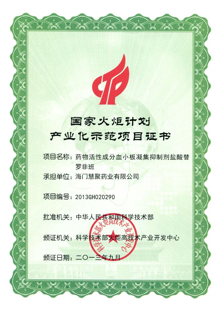 2013年盐酸替罗非班火炬计划项目